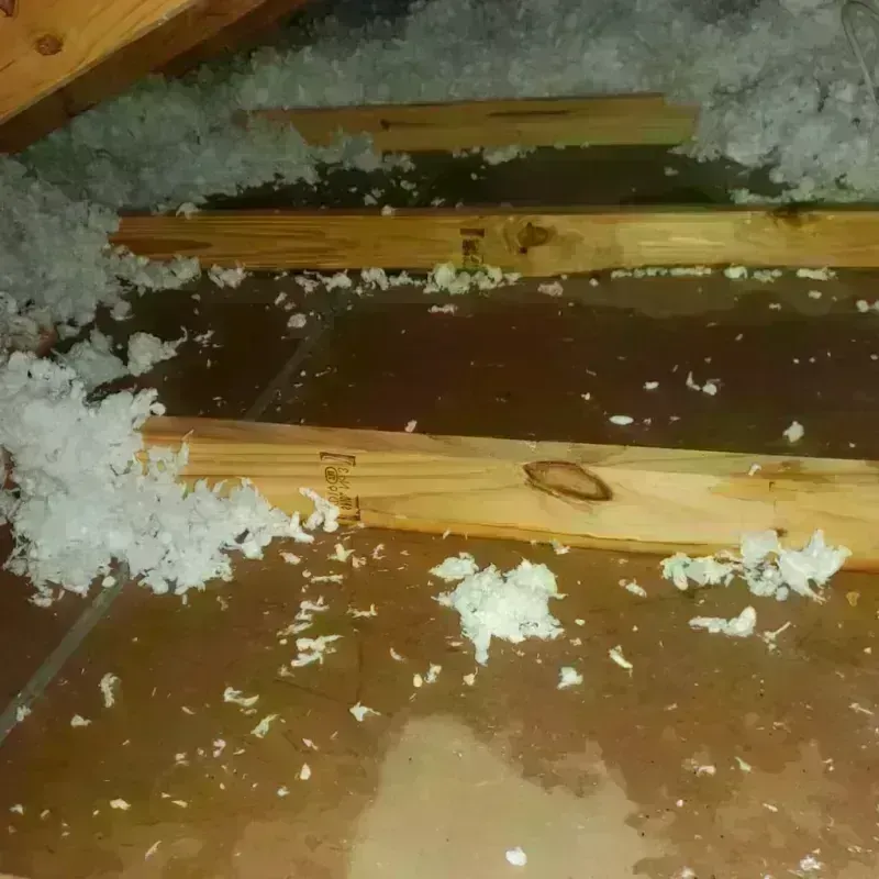 Attic Water Damage in Convoy, OH