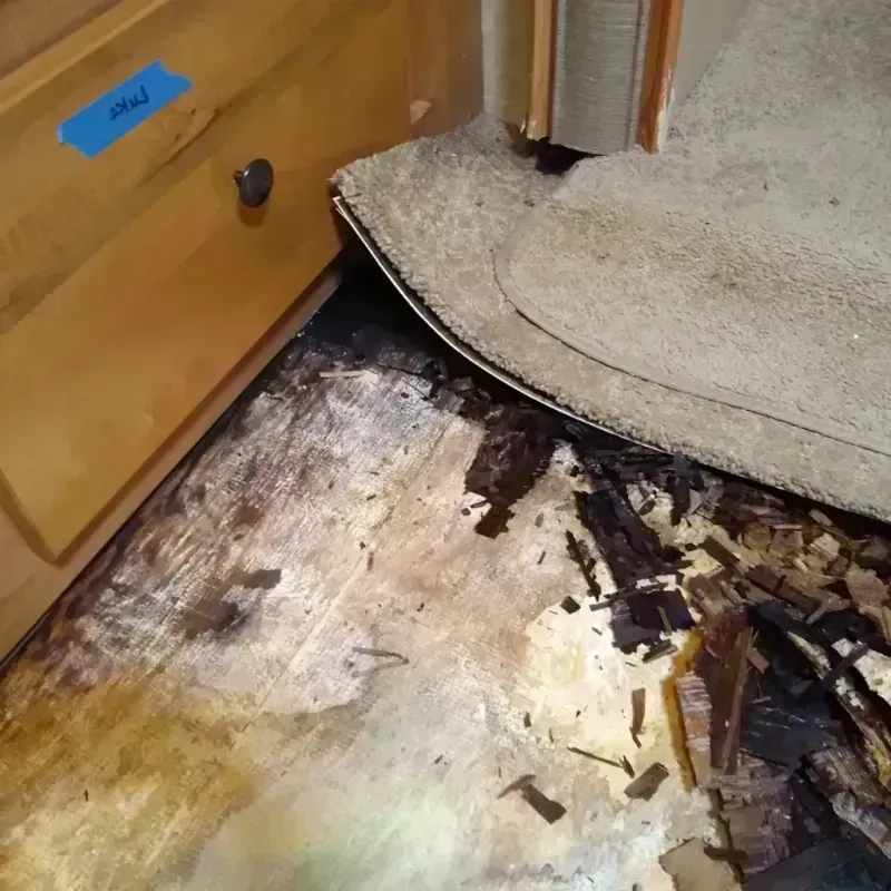 Wood Floor Water Damage in Convoy, OH